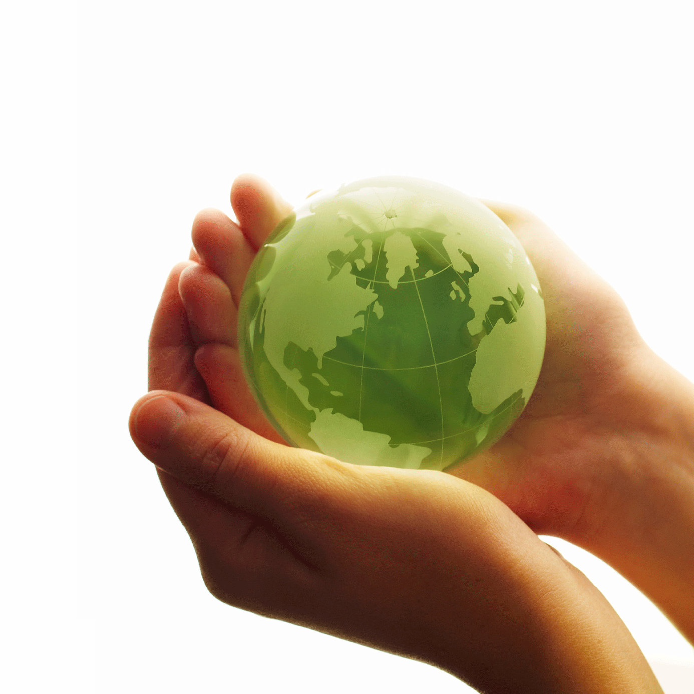 Hand holding green globe